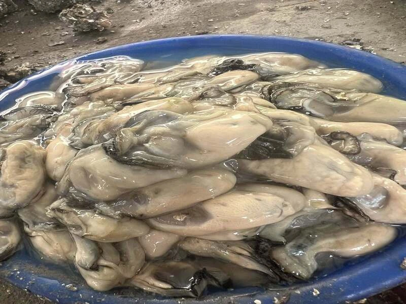 雲林口湖鮮蚵肉(2包)-(建議冷藏寄送)